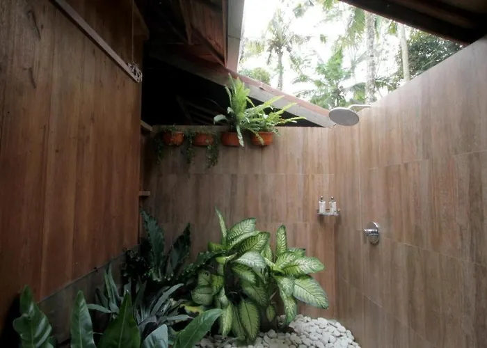 Jungle Joglo