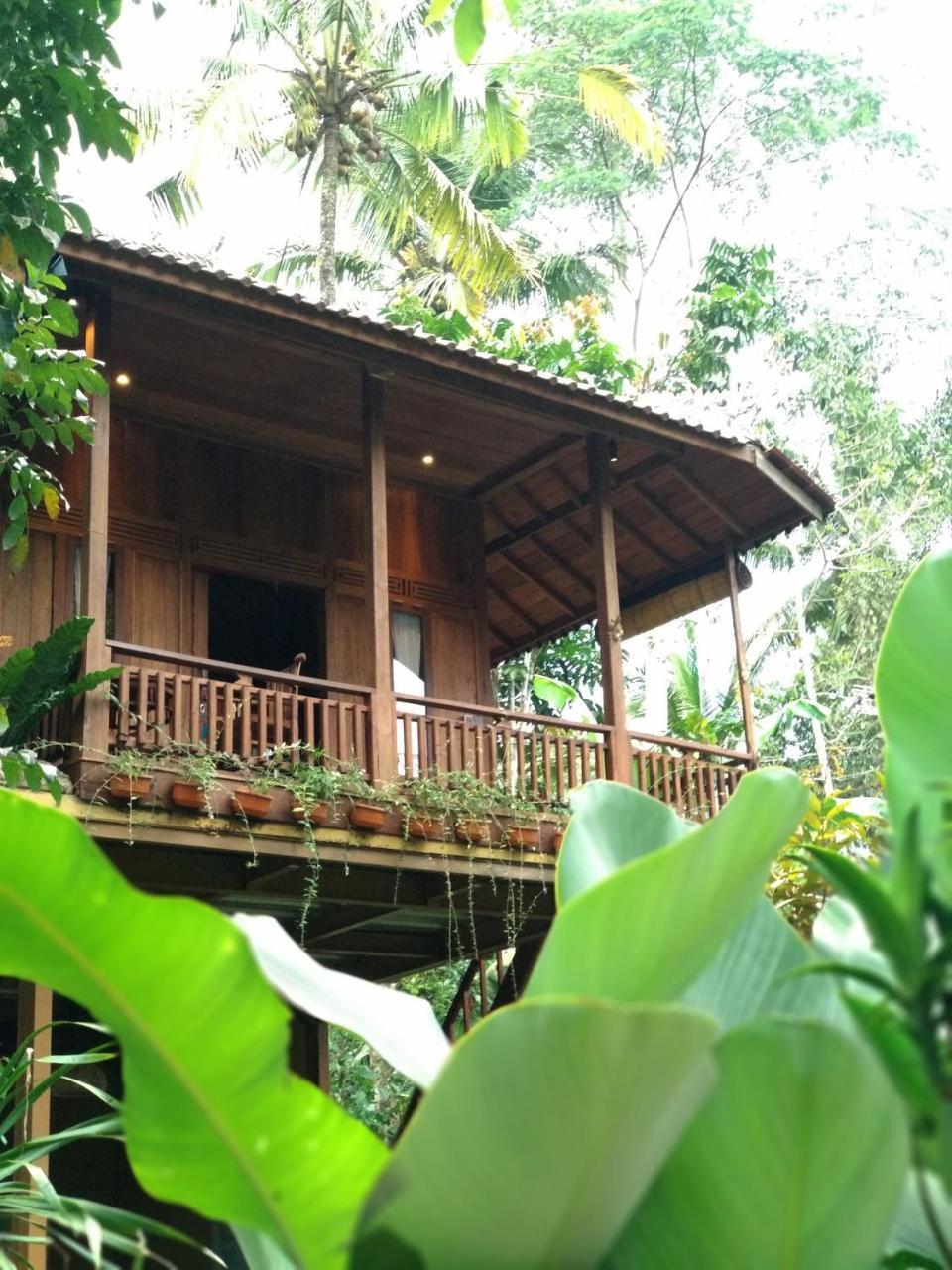 Séjour à la campagne Jungle Joglo Tampaksiring