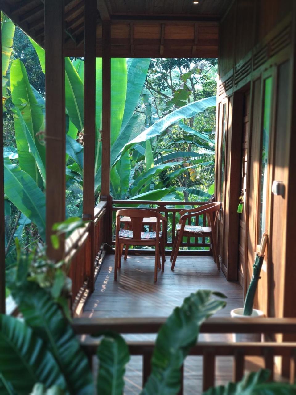 Jungle Joglo