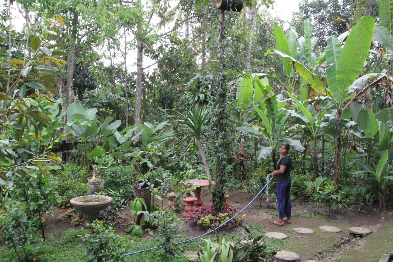 Séjour à la campagne Jungle Joglo