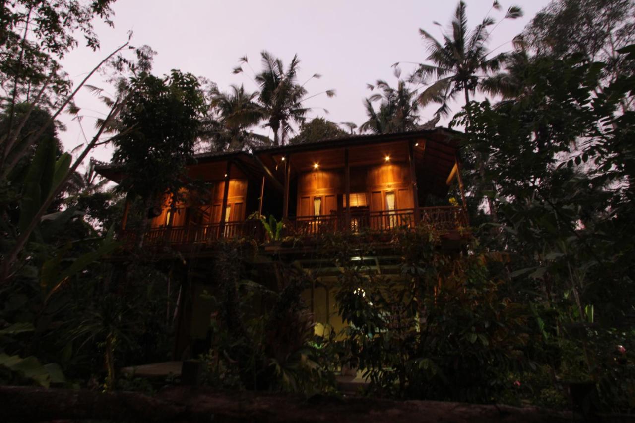 Jungle Joglo